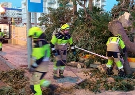 Bomberos durante la retirada del ombú en pleno temporal de viento.