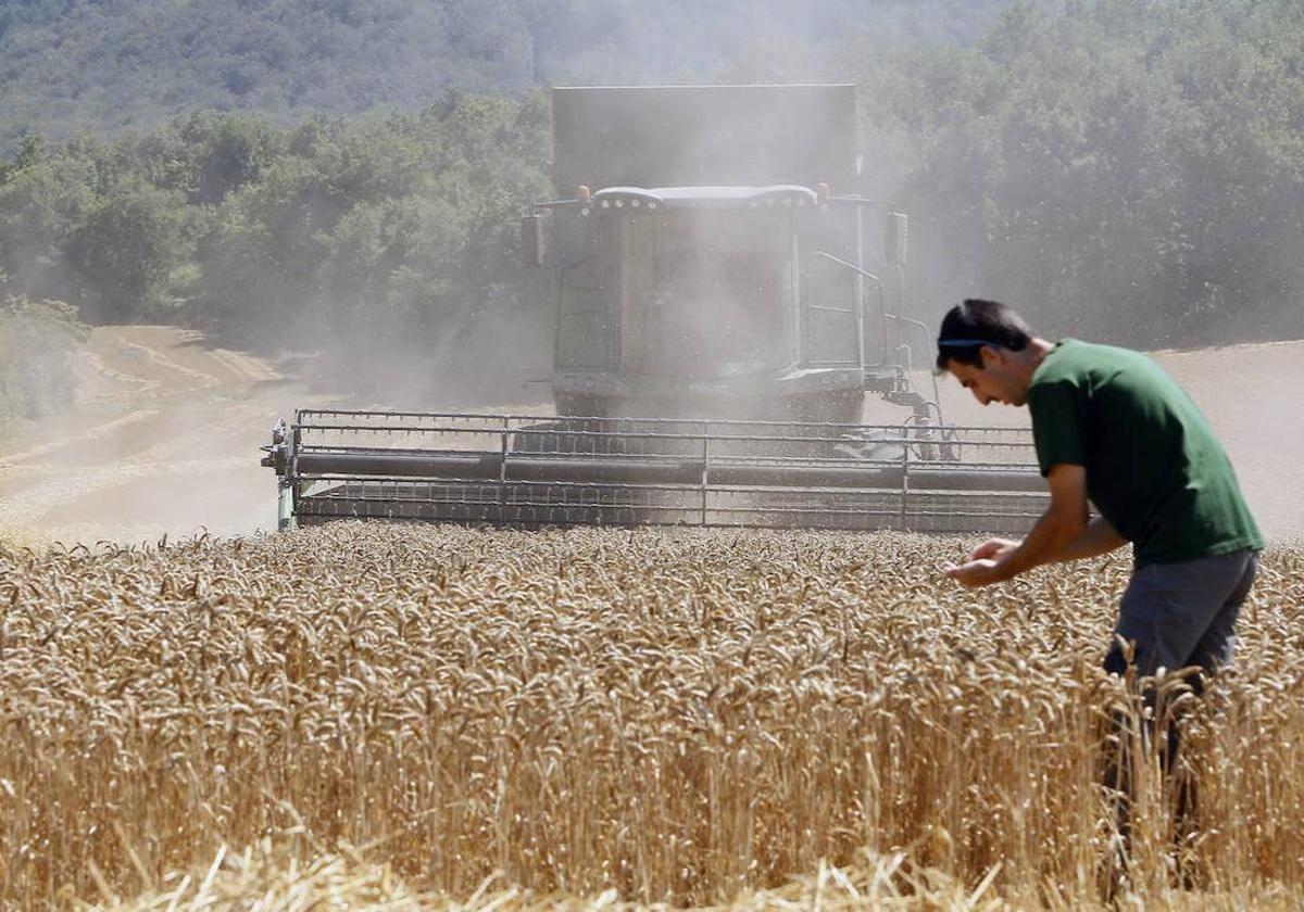 El Gobierno moviliza otros 60 millones en actuaciones urgentes para reducir la carga económica de los agricultores