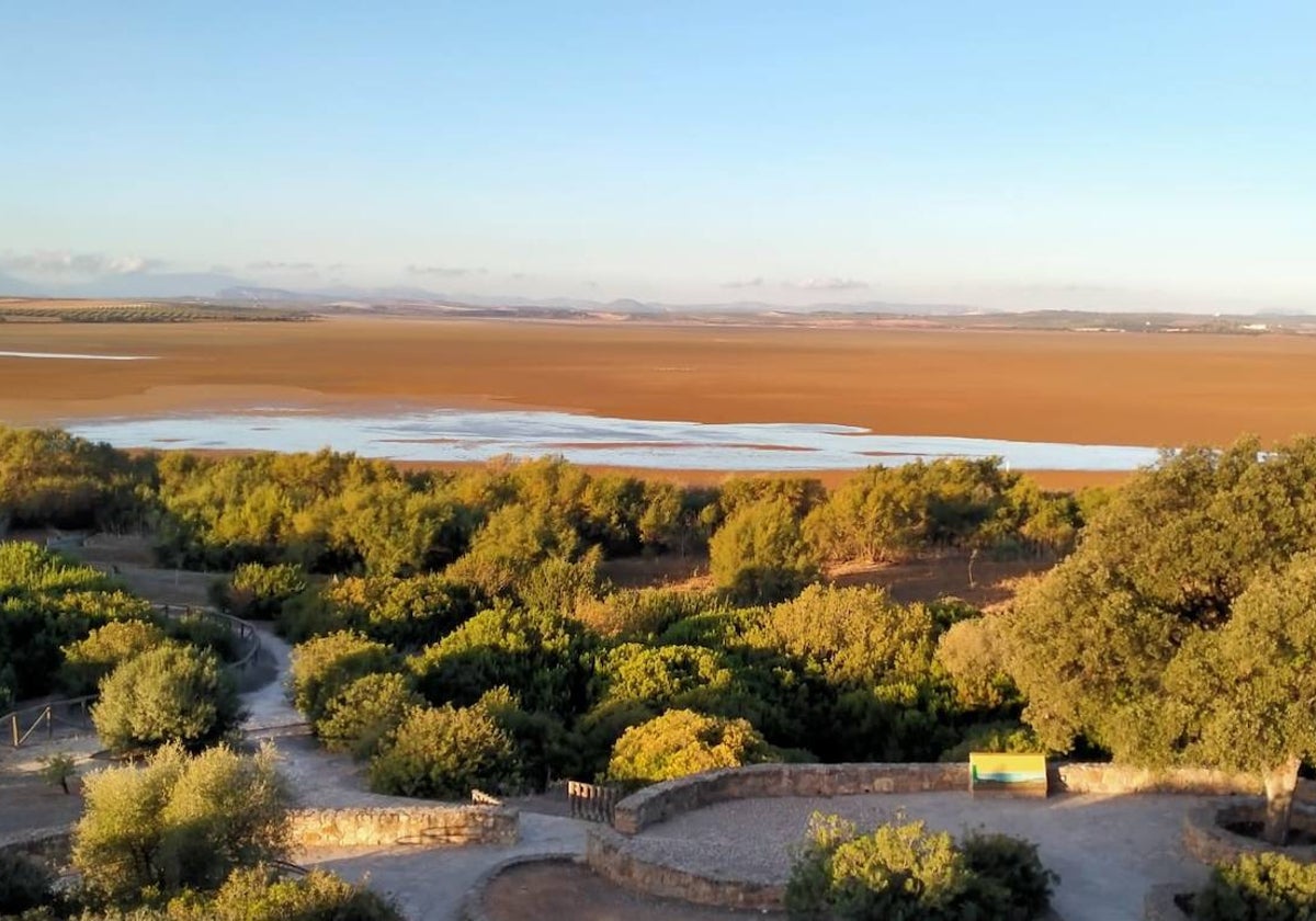 Estado actual de la Reserva Natural Laguna Fuente de Piedra.