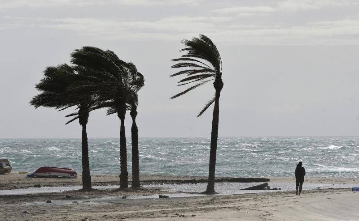 El tiempo: Málaga, en aviso amarillo desde la tarde de este domingo