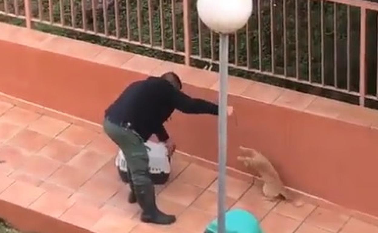 Imagen del vídeo difundido por PACMA a través de las redes sociales. 