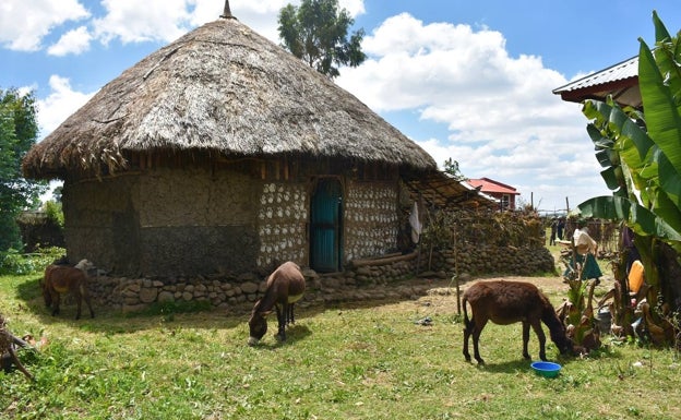 Vaquerías, gallineros y centros de agricultura fueron implantados por esta fundación malagueña en algunos poblados de Muketuri. 