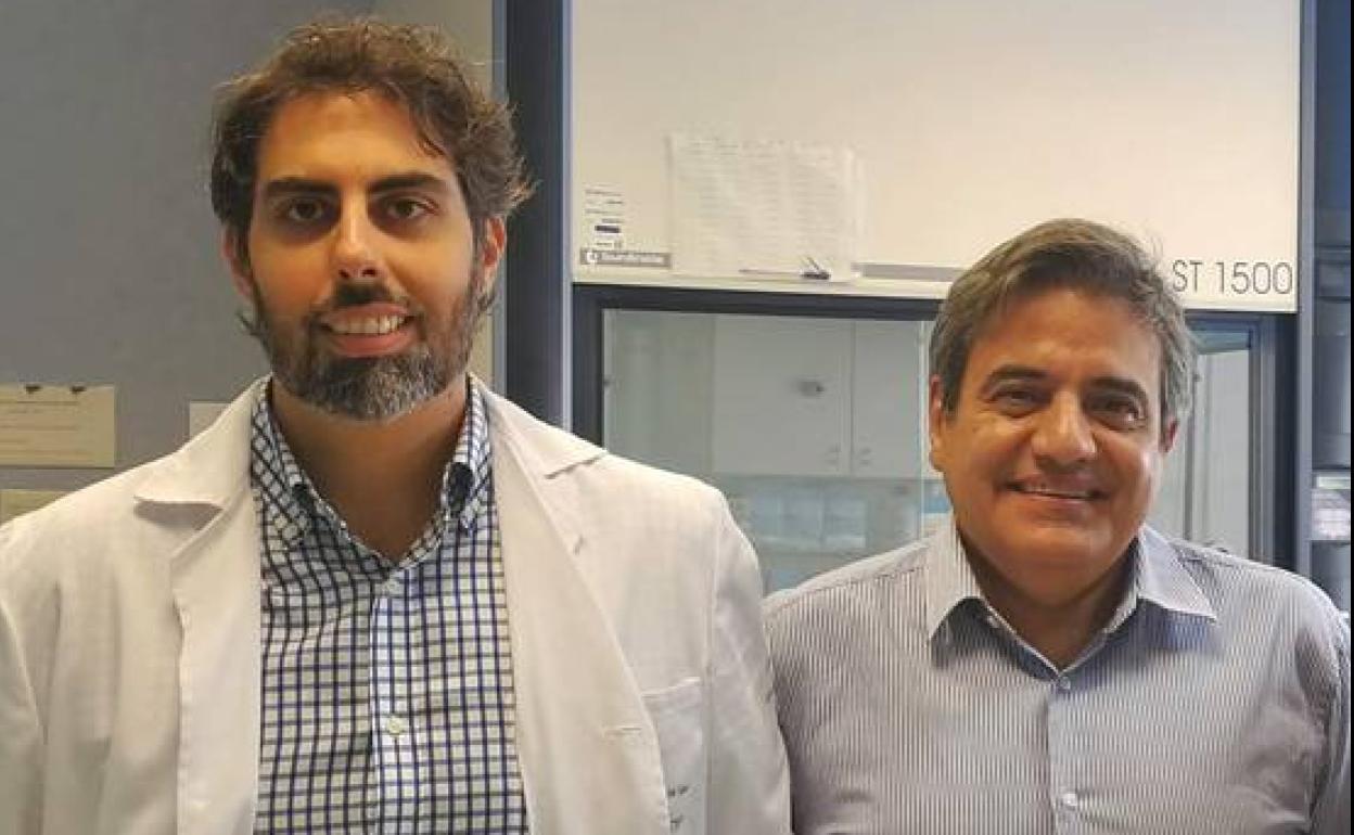 Investigadores de Málaga demuestran que la obesidad produce una caída en los niveles de testosterona