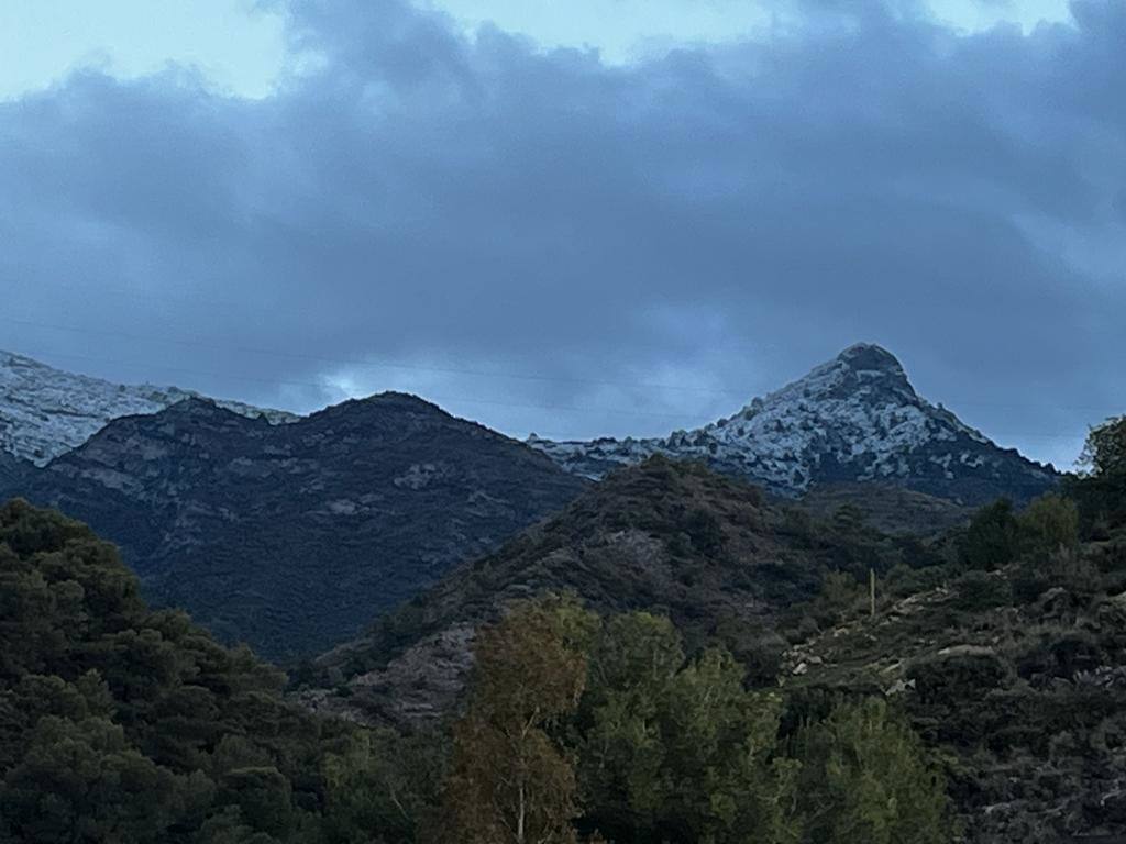 Sierra Blanca, en Marbella