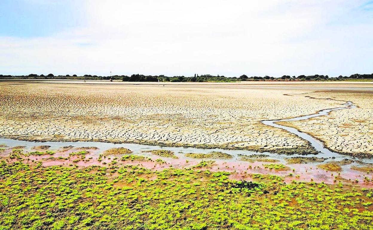 Parque Natural. La laguna de Santa Olalla, la laguna permanente más grande de Doñana. 