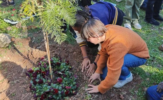 Plantan el 'árbol de los alemanes' en el bosque Erasmus. 