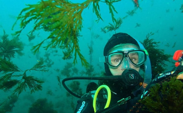 Imagen principal - María Altamirano buceando en imagen superior y la misma con algunas de las muestras escogidas. 