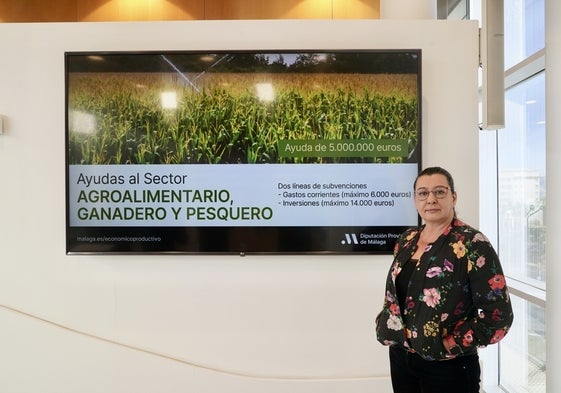 La diputada de Desarrollo Económico Sostenible, Esperanza González, este martes en la presentación de las ayudas.