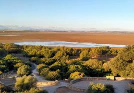 Estado actual de la Reserva Natural Laguna Fuente de Piedra.