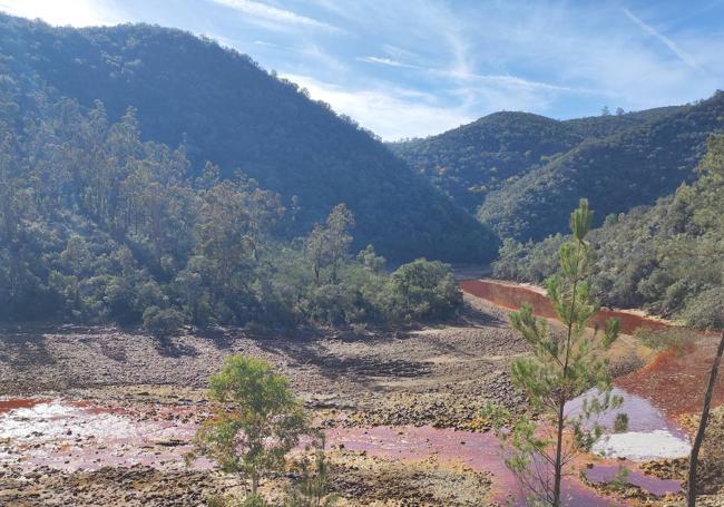 En torno al río se pueden ver desde ciervos hasta ejemplares de buitre negro