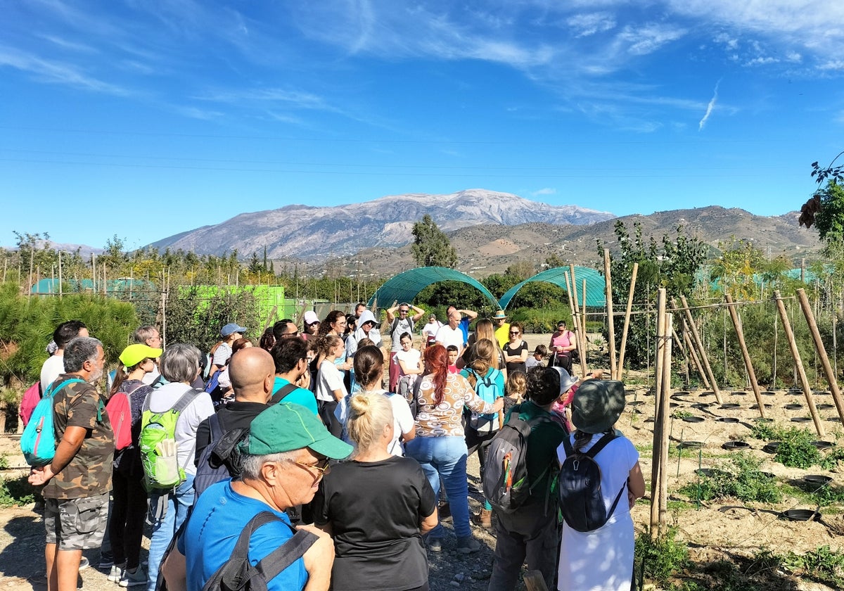 Imagen de las instalaciones del vivero provincial en Benamocarra.