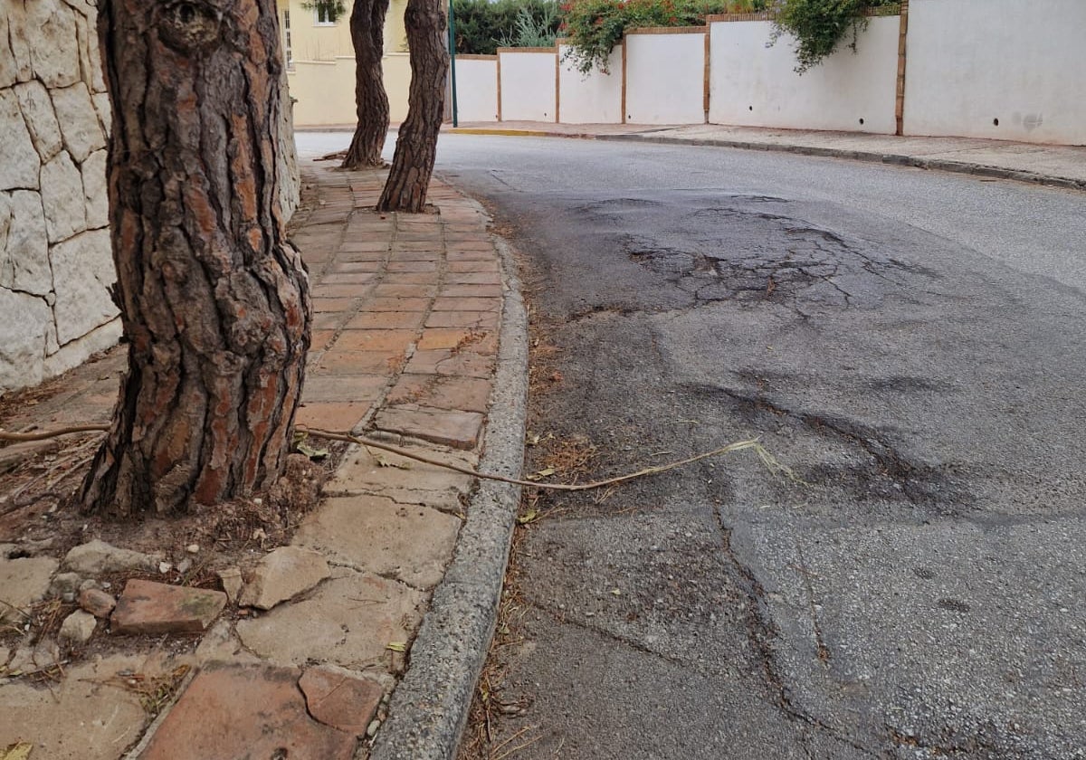 Desperfecots en Pinares de San Antón.