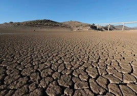 El 9 de diciembre de 2022, al que corresponde la foto, se recogieron 51 litros por metro cuadrado.