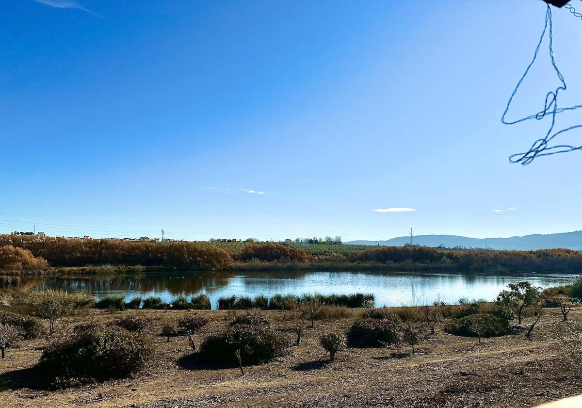 Imagen principal - 'El Laguneto', la laguna de la reserva donde permanece el agua durante todo el año; su mirador y un puente construido junto al acceso al centro de visitantes.