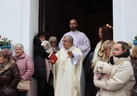 Bendición de animales por San Antón, en una imagen de archivo.