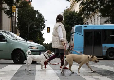 Es realmente obligatorio en Málaga llevar la botella con agua y jabón para  el pis de los perros?