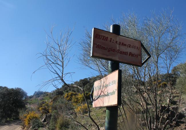 Las rutas de Lo Bernabé y de Santi Petri ofrecen bonitos recorridos entre almendros.