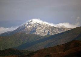 La Sierra de las Nieves, en una pasada nevada.