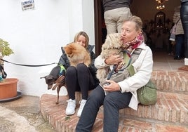 Tradicional bendición de animales.