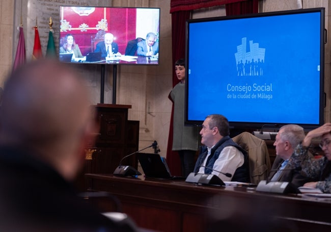 El Consejo Social, ayer por la tarde en el salón de plenos.