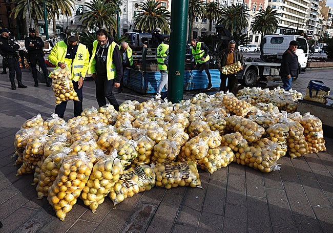 Varios productores de limones del Valle del Guadalhorce regalando limones en la plaza de la Marina, como acción de protesta por los bajos precios que reciben en origen.