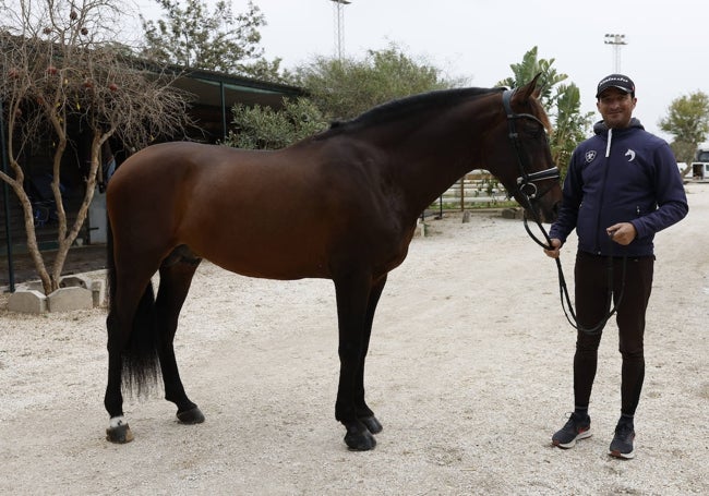 José Daniel Martín Dockx, con 'Malagueño LXXXIII', en su cuadra en el Hipódromo de Mijas.