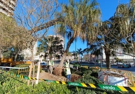 Trabajo para el traslado del monumento al padre Arnáiz en la glorieta Albert Camus.