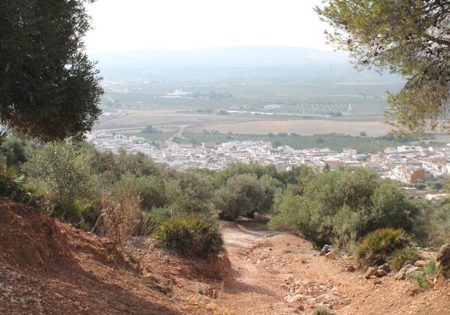 Panormámica. En el regreso del mirador de la Acebuchosa se puede ver una interesante perspectiva de Gilena.