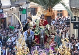 El Señor de la Pollinica y la Virgen del Amparo entrarán en la Catedral.