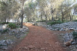 Naturaleza. Desde el pueblo, en tan sólo unos minutos, se puede llegar a este enclave.