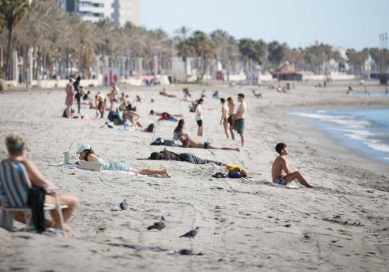 Enero está dejando unas temperaturas altas generalizadas anómalas.