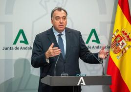 Bernal, durante la presentación del nuevo decreto de viviendas turísticas de Andalucía.