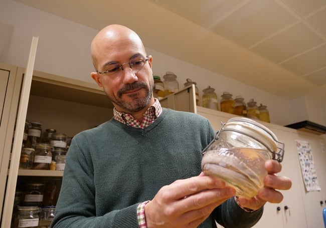 Juan Pascual Anaya, con una muestra de los mixinos en el laboratorio.