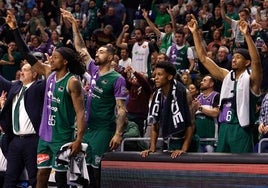 Los jugadores del Unicaja celebran una canasta desde el banquillo.