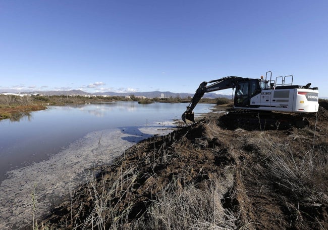 Trabajos de mejora en las lagunas y de tratamiento selvícola el pasado otoño.