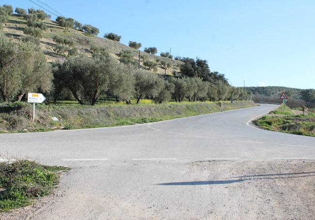 Se puede llegar a Alcalá del Valle por una cañada real o por la carretera.