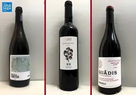 La cata: los vinos recomendados de la primera semana de febrero
