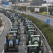Estas son las razones que hay tras las tractoradas que volverán a Málaga esta semana