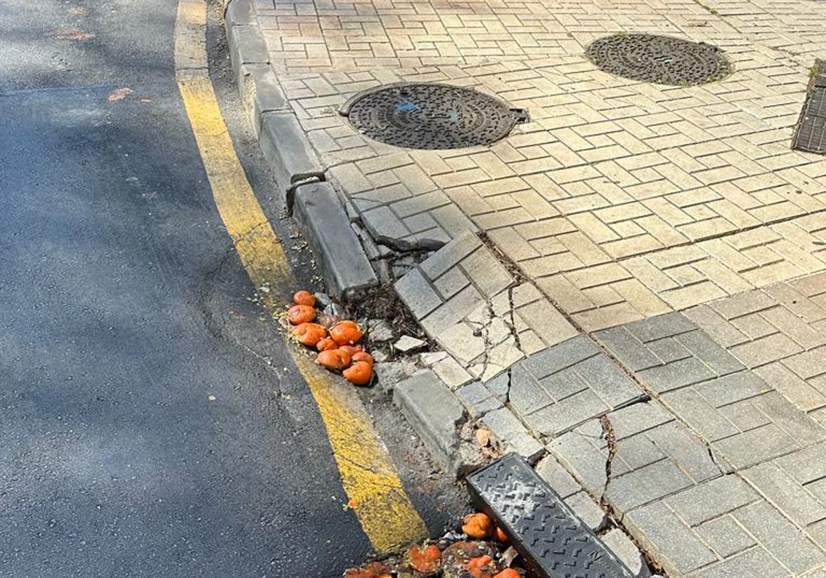 Bordillos rotos en las aceras de la rotonda.