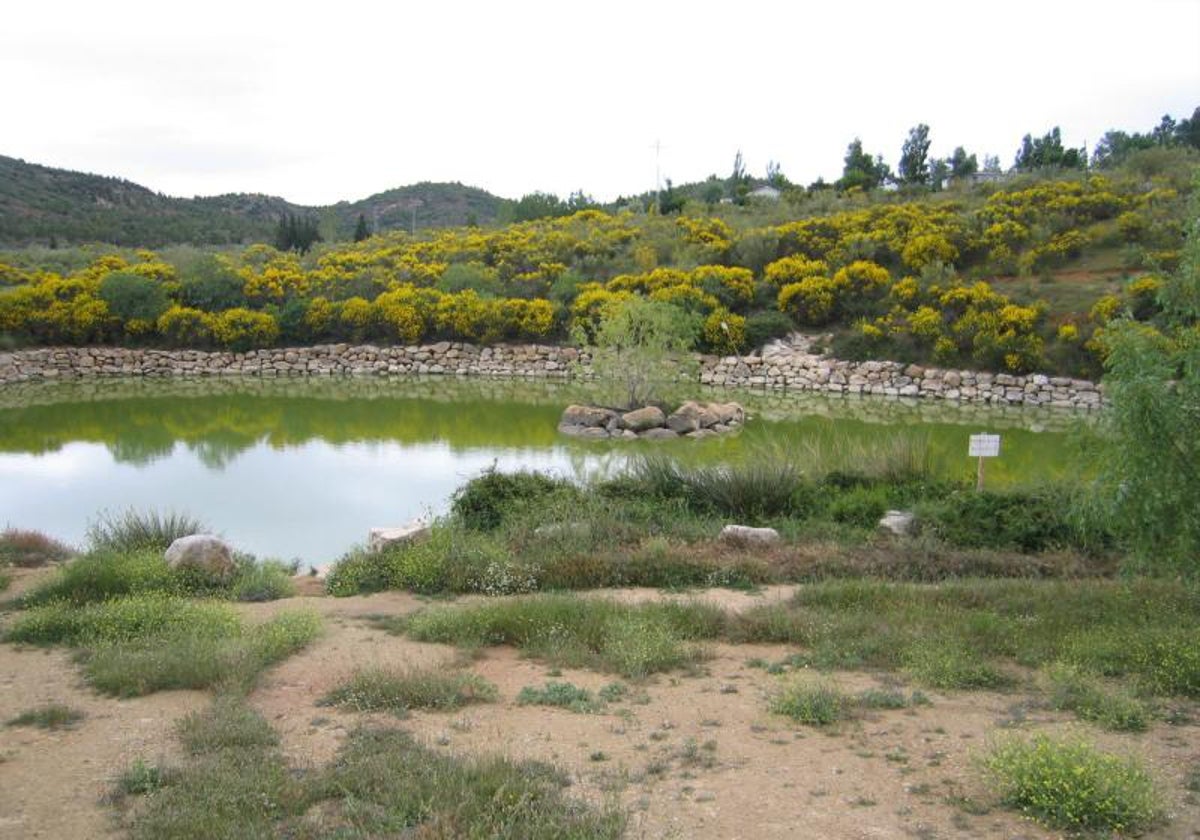 Acuífero del Nacimiento de la Villa, en Antequera, en una imagen de archivo.