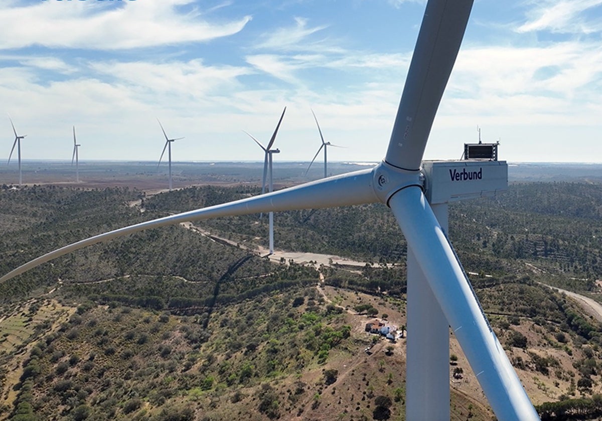 La mayor empresa energética austriaca pone el foco en Málaga con diez proyectos renovables