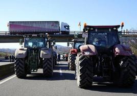 Los agricultores detenidos en protestas no autorizadas en Andalucía se elevan ya a 26