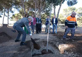 El alcalde ha plantado un árbol para marcar el inicio de los trabajos.