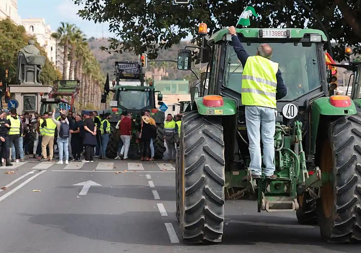Ya hay fecha para el juicio al agricultor detenido la pasada semana en Antequera