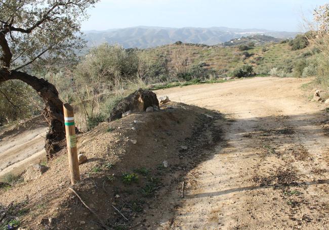 Camino descendente que va hacia la parte baja del término municipal de Alfarnatejo