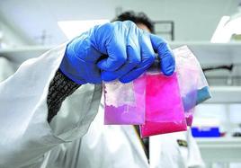 Un agente muestra varias bolsas que contienen Tusi o coca rosa, en los laboratorios de la Policía.