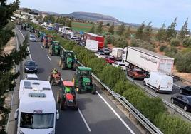 Las organizaciones agrarias Asaja, COAG, UPA y Cooperativas Agroalimentarias comenzaron la semana pasada su calendario de protestas.
