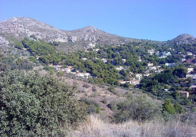 Zona de Pinares de San Antón, al norte del distrito Este.