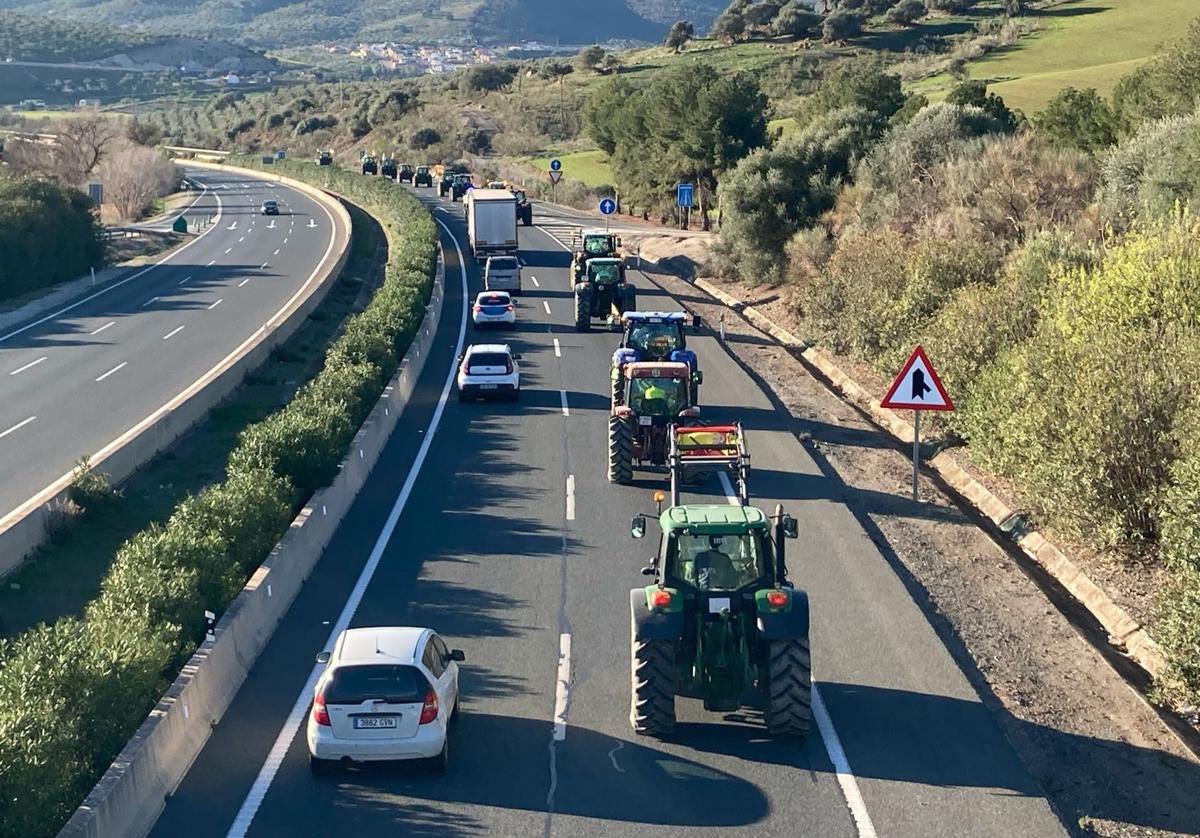 Tractores, esta mañana a su paso por Casabermeja.