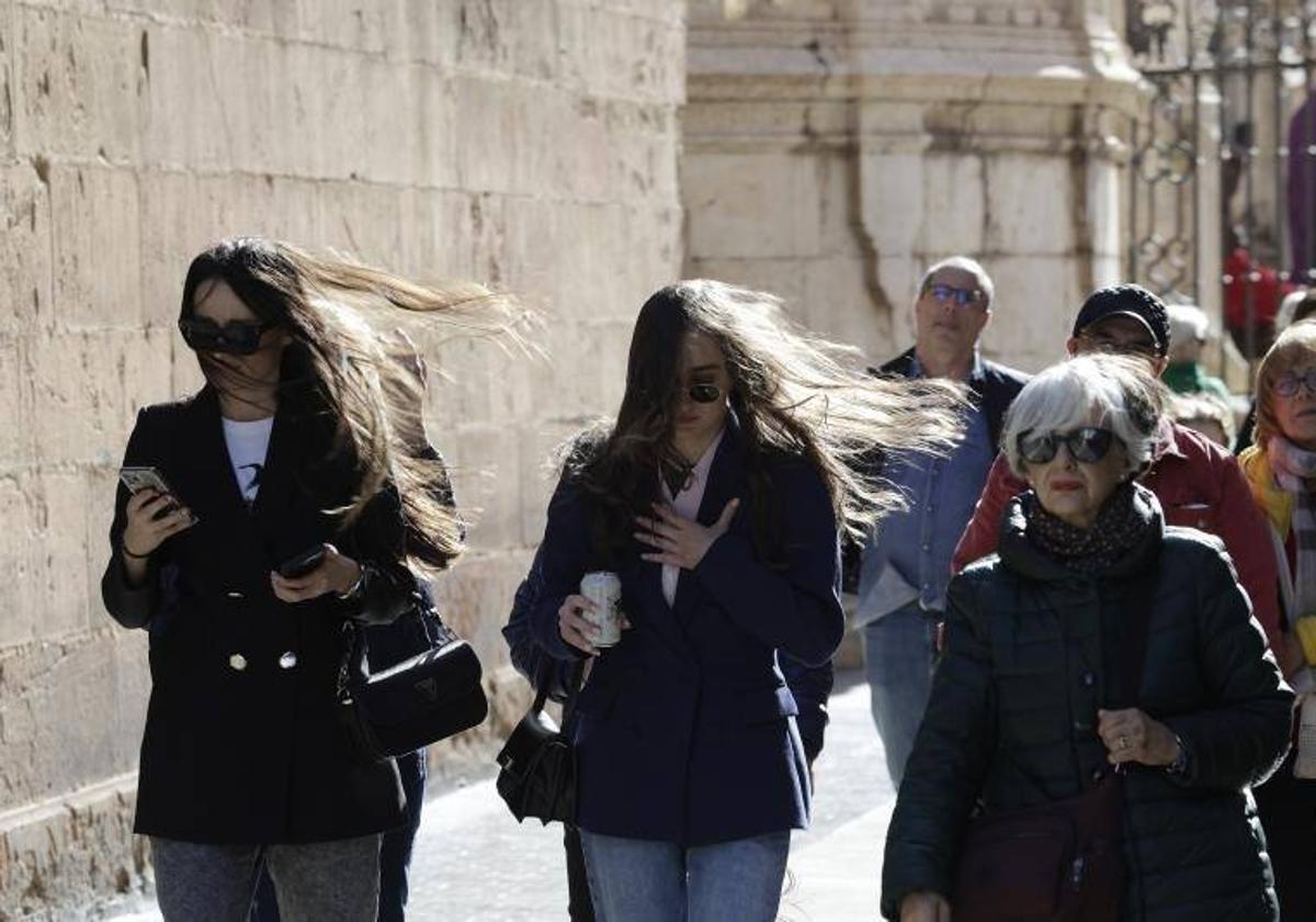 Aemet ha activado avisos por viento en Málaga.